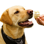 30 pack Puppin Cookie Jar, 1 PER CASE